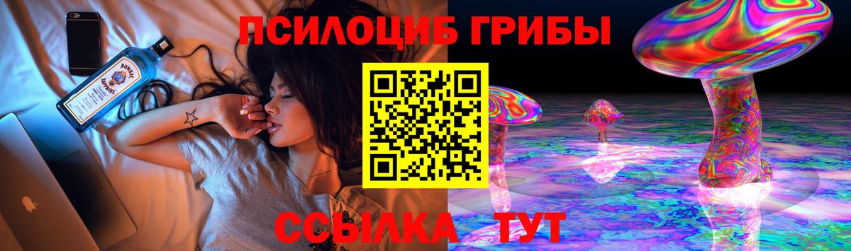 Протвино  Псилоцибиновые грибы Psilocybe  Вход с VPN 